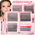 Lash Kit (no tools) - Bellezza Boutique